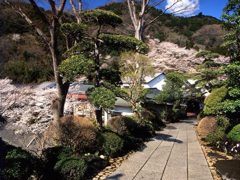 Motoyu Ryokan Atsugi Exterior foto